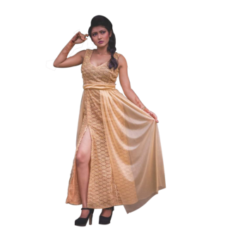 Gowns for party wear